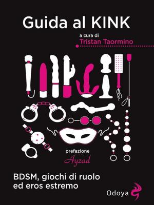 Book cover of Guida al Kink