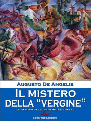 Book cover of Il mistero della “Vergine”