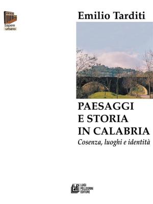 Cover of Paesaggi e storia in Calabria. Cosenza, luoghi e identità