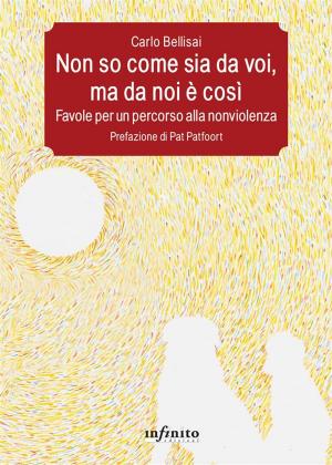 Cover of the book Non so come sia da voi, ma da noi è così by Paolo Bergamaschi