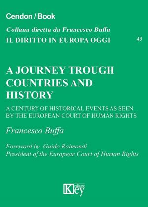 Cover of A journey trough countries and history