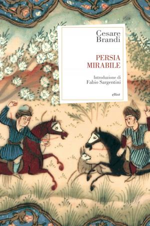 Cover of the book Persia mirabile by Aa. Vv., Martina Testa