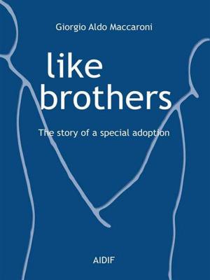 Cover of the book Like Brothers - The story of a special adoption by James Mullaney