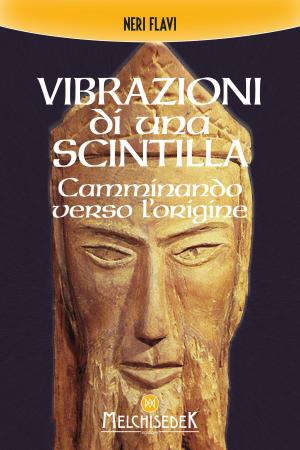 Cover of the book Vibrazioni di una scintilla by Daniela Bortoluzzi, Enrico Baccarini