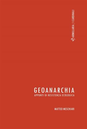 Book cover of Geoanarchia