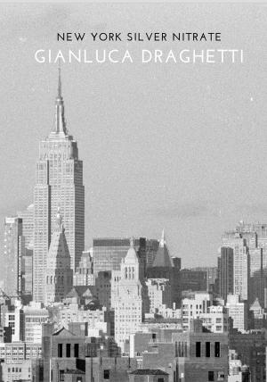 Cover of the book New York Silver Nitrate by David Hill