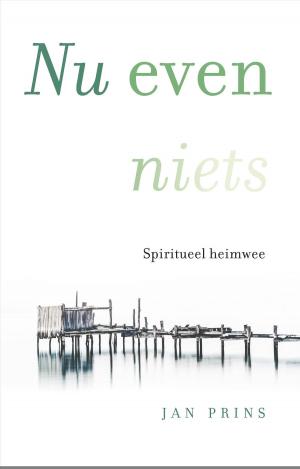 Cover of the book Nu even niets by Mark-Jan Zwart, Rijk Jansen, Gert-Jan van den Bemd, Lijda Hammenga