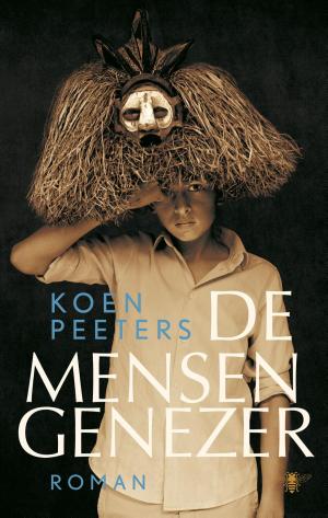 Cover of the book De mensengenezer by Amos Oz
