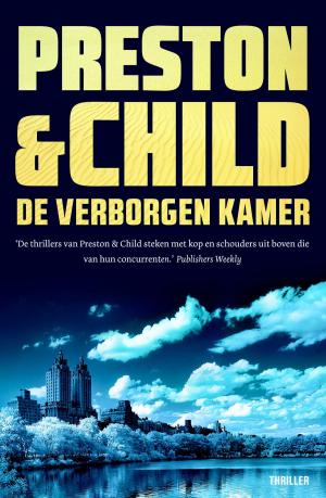Cover of the book De verborgen kamer by Richard Schwartz