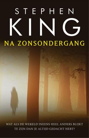 Cover of the book Na zonsondergang by Fredric Stern