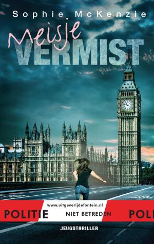 bigCover of the book Meisje vermist by 