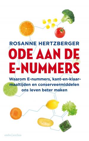 Cover of the book Ode aan de e-nummers by Susan J. Sterling
