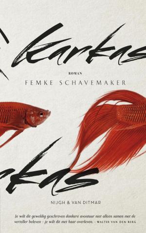 Cover of the book Karkas by Paul Mennes