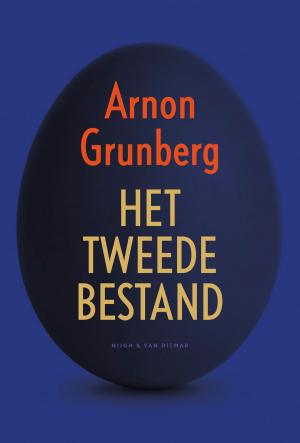 Cover of the book Het tweede bestand by Joost Zwagerman