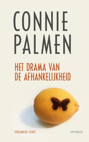 Cover of the book Het drama van de afhankelijkheid by Lara Taveirne