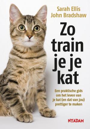 Cover of the book Zo train je je kat by Edwin Gitsels, Nicole Buch
