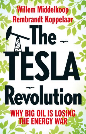 Cover of the book The TESLA revolution by Benjamin B. Roberts
