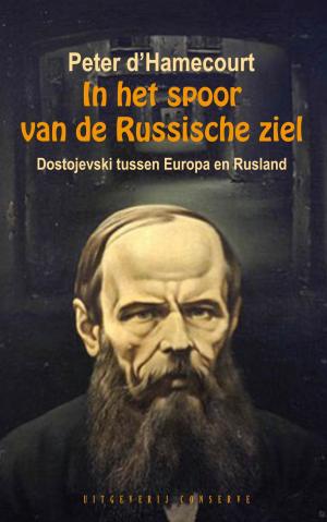 Cover of the book In het spoor van de Russische ziel by Ilija Trojanow