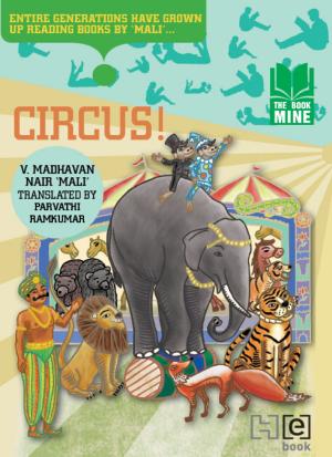 Cover of the book Circus! by Sheila Myers