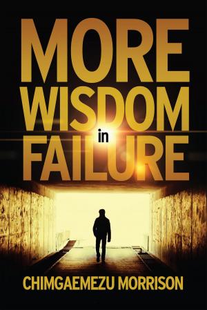 Cover of the book More Wisdom in Failure by Mani Menon