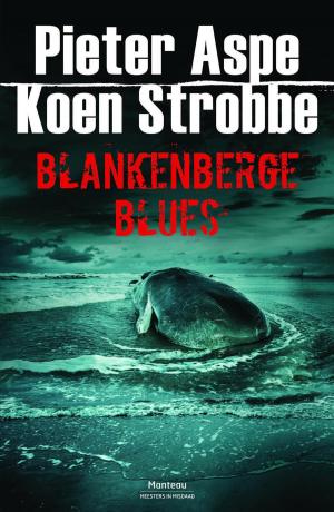 Book cover of Blankenberge Blues