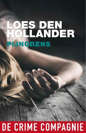 Cover of the book Pijngrens by Marianne Hoogstraaten, Theo Hoogstraaten