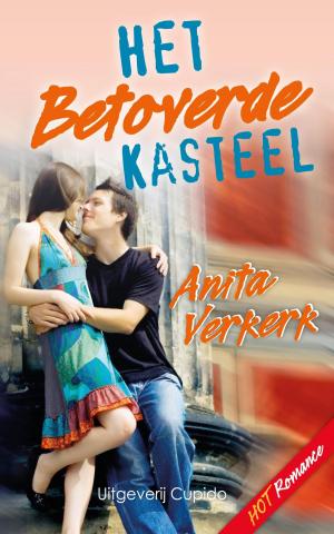 Cover of the book Het betoverde kasteel by Anita Verkerk