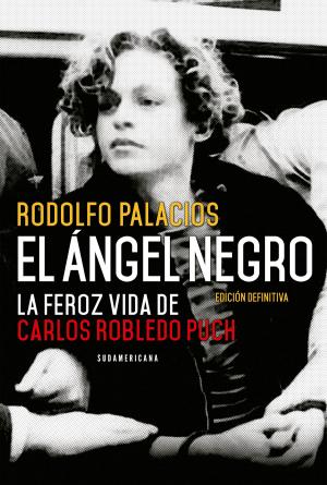 Cover of the book El ángel negro by Horacio Pagani