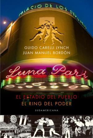 Cover of the book Luna Park by María Teresa Andruetto