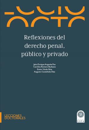 Book cover of Reflexiones del derecho penal, público y privado