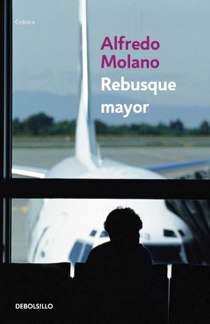 Cover of the book Rebusque Mayor by Alfredo Molano Bravo