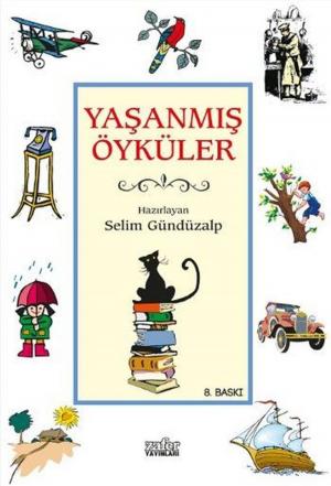 Cover of the book Yaşanmış Öyküler by Ali Çankırılı