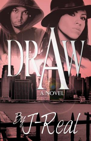 Cover of the book DRAW by Doug Manning