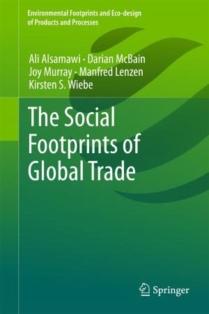 Cover of the book The Social Footprints of Global Trade by Zhengshuo Li