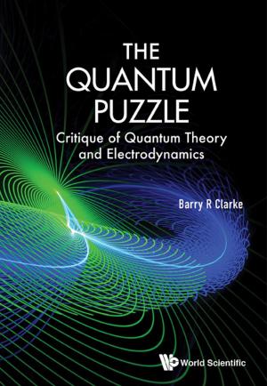 Cover of the book The Quantum Puzzle by David Goodman, Ilan Garibi