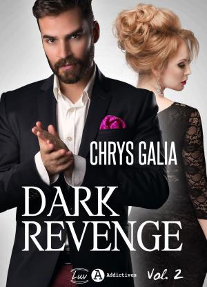 Cover of Dark Revenge - volume 2