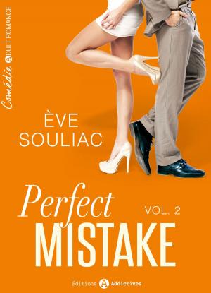 Cover of the book Perfect Mistake - 2 by Stuart Evans