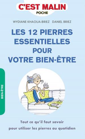 Cover of the book Les 12 pierres essentielles pour votre bien-être, c'est malin by Christian Bourit