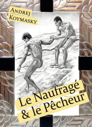 Cover of the book Le Naufragé et le Pêcheur by NM Mass