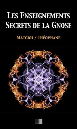 Cover of the book Les enseignements secrets de la Gnose by Omero