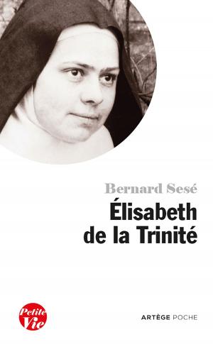 Cover of the book Petite vie d'Elisabeth de la Trinité by Marie-Noëlle Thabut
