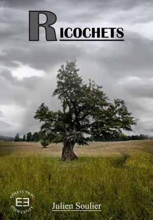 Cover of the book Ricochets by A.J. Orchidéa