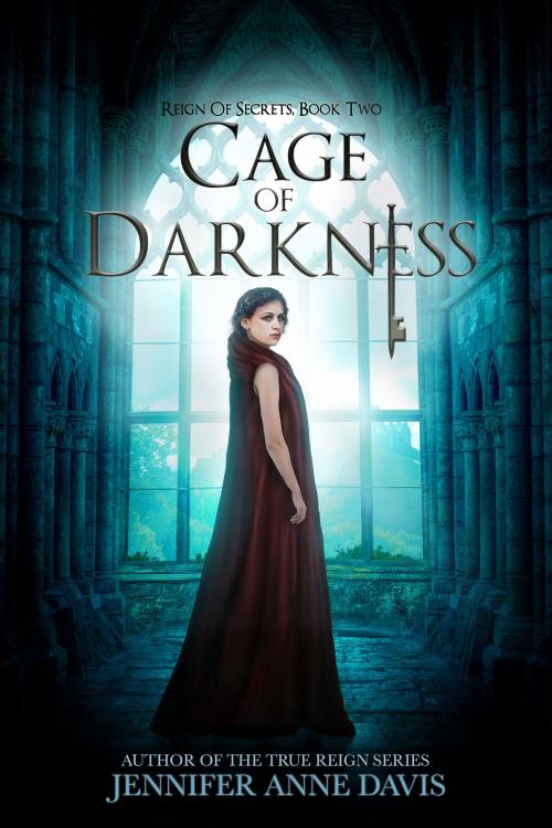 Cover of the book Cage of Darkness by Jennifer Anne Davis, Reign Publishing