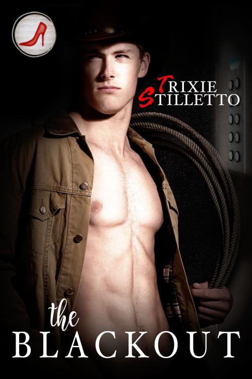 Cover of the book The Blackout by Trixie Stilletto, KTB Books