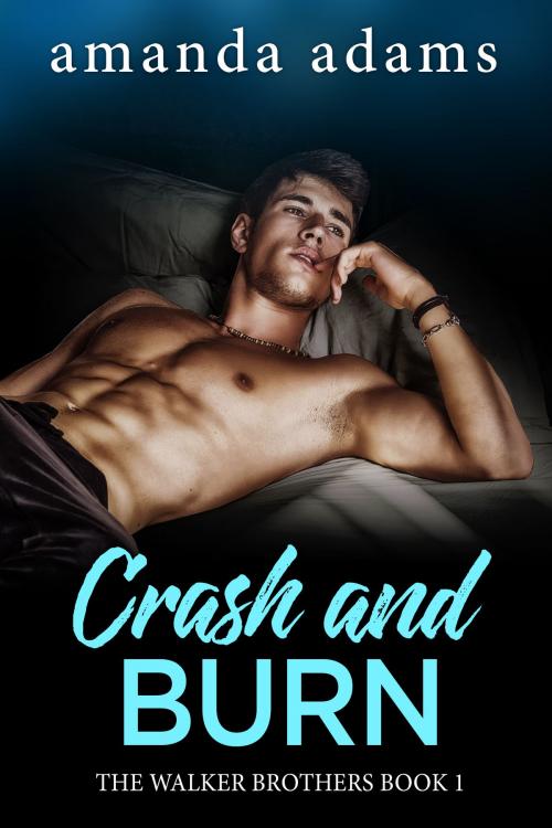 Cover of the book Crash and Burn by Amanda Adams, Tydbyts Media