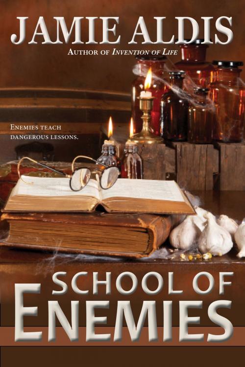 Cover of the book School of Enemies by Jamie Aldis, Valsaga