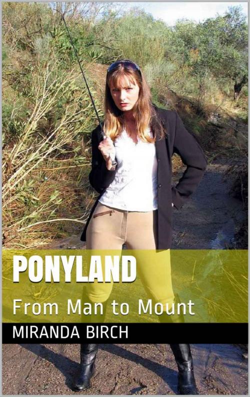 Cover of the book Ponyland by Miranda Birch, Birch Books