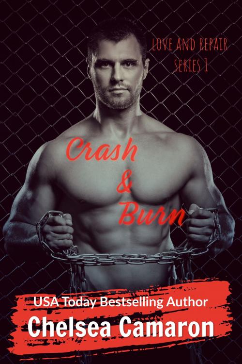 Cover of the book Crash and Burn by Chelsea Camaron, Carolina Dreams Publishing