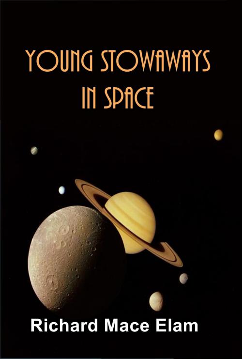 Cover of the book Young Stowaways in Space by Richard Mace Elam, Green Bird Press