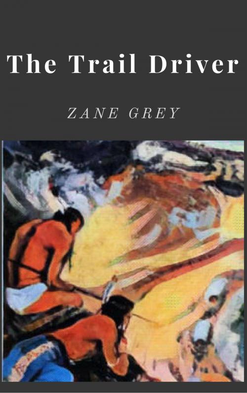 Cover of the book The Trail Driver by Zane Grey, New York : McCall's Magazine